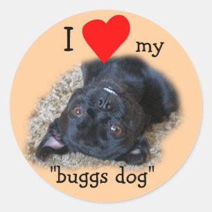 Buggs Hund Stickers-your bild eller mine Runt Klistermärke