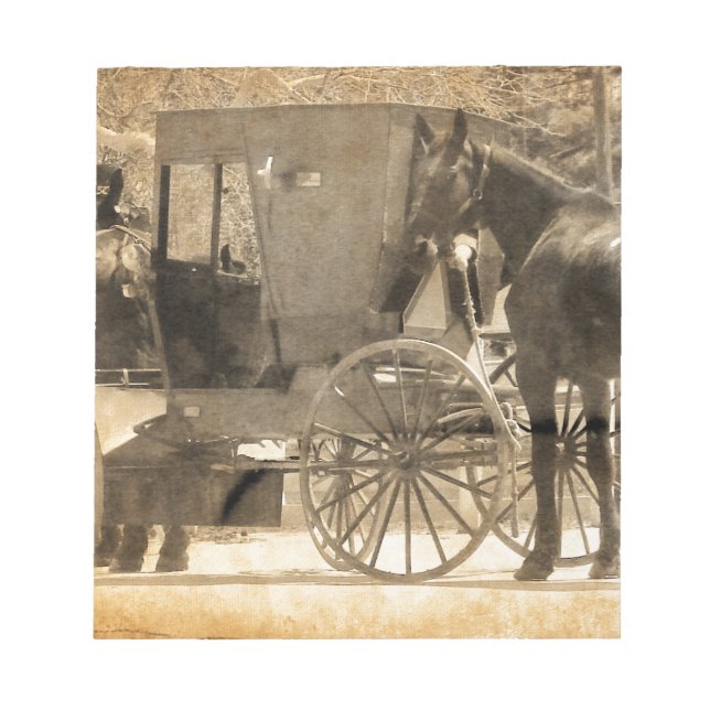 Buggy Före hästen, Amish tar hem nya hästar. Anteckningsblock (Framsida)