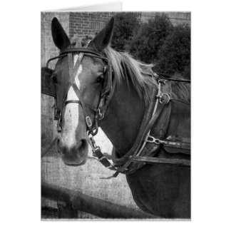 Buggy Horse vid Hitching Post Hälsningskort