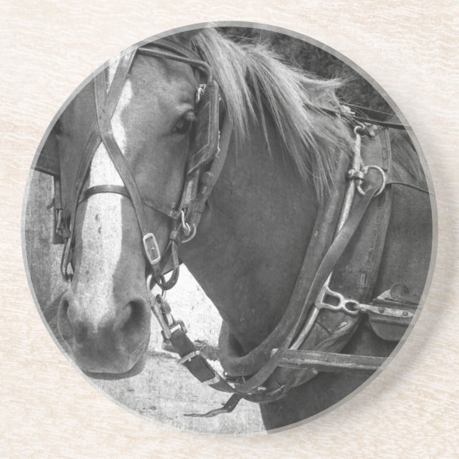 Buggy Horse vid Hitching Post Underlägg Sandsten (Framsidan)