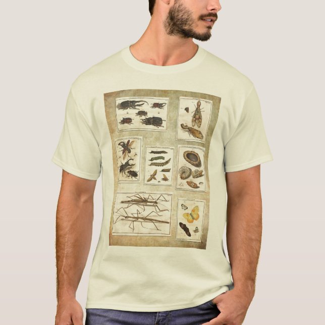 BuggyT-tröja - vetenskapliga illustrationer Tröja (Framsida)