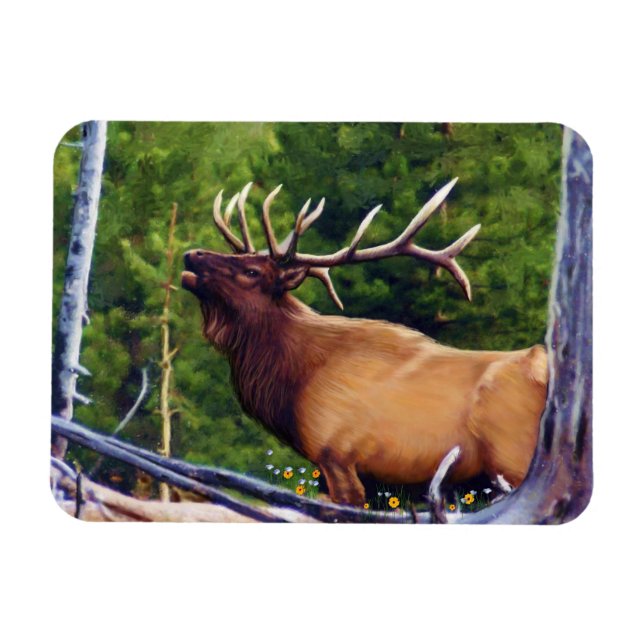 Bugler Elk Bull Magnet (Horisontell)