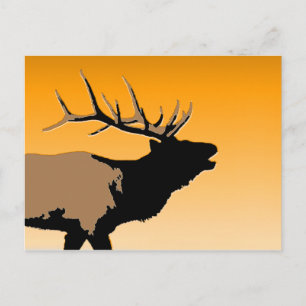 Bugling Bull Elk vid Sunset Original Wildlife Art Vykort