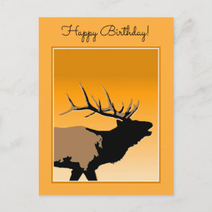 Bugling Bull Elk vid Sunset Original Wildlife Art Vykort