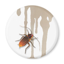 Bugzeez_Icky Fickerökenvägare