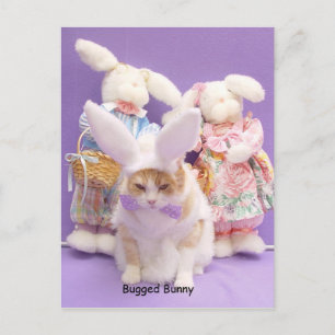 Bukad Bunny Vykort