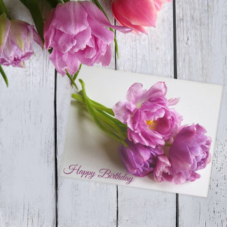 Bukett med rosa blommande tulpaner. Grattis på föd Vykort