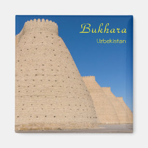 Bukhara, Uzbekistan - muren av fästningen Ark Magnet