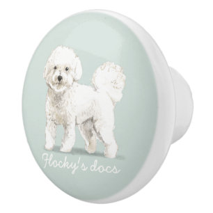 Buksi - Havanese, Maltese, Shih tzu, Bichon älskar Knopp