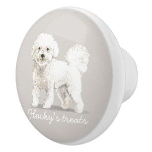 Buksi - Havanese, Maltese, Shih tzu, Bichon älskar Knopp