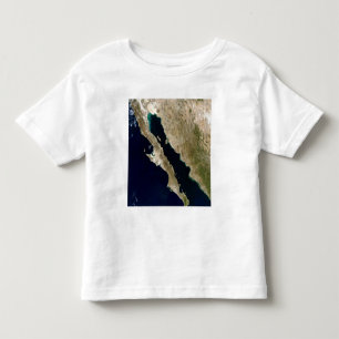 Bukt av Kalifornien Tee Shirt