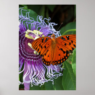 Bukt Fritillary Art Poster -24x36 -andra storlekar