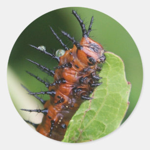 Bukt Fritillary Butterfly Caterpelare Stickers Runt Klistermärke