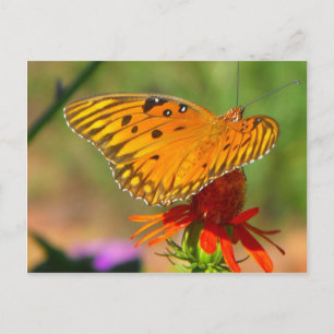 Bukt Fritillary Butterfly och Red Flower Vykort