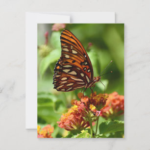 Bukt Fritillary Butterfly-vykort Vykort