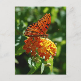 Bukt Fritillary Butterfly-vykort Vykort