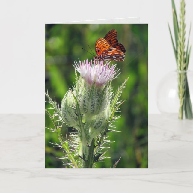 Bukt Fritillary på Thistle Flower Birthday Card Kort (Framsida)