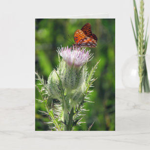 Bukt Fritillary på Thistle Flower Birthday Card Kort