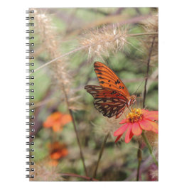 Bukt Fritillary på Zinnia Anteckningsbok
