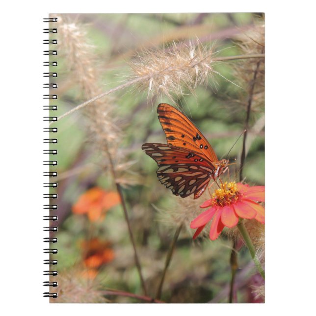 Bukt Fritillary på Zinnia Anteckningsbok (Framsidan)