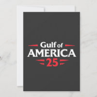 Bukt i Amerika Patriotic American Trump USA flagga