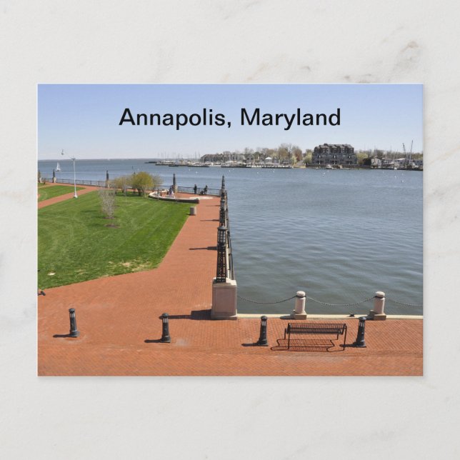 Bukt i Annapolis, Maryland Vykort (Framsida)