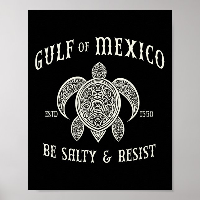 Bukt i Mexiko ska vara Salty and Resistent 1 Poster (Framsidan)