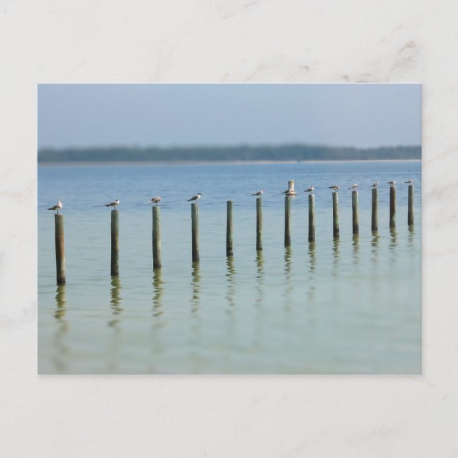 Bukt Kusten - Låt oss betalkort Vykort (Framsida)