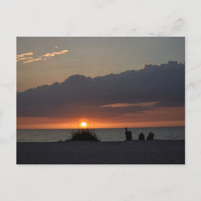 Bukt Kusten Sunset - Florida Postcard Vykort (Framsida)