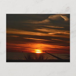 Bukt Shores Plantation Vykort