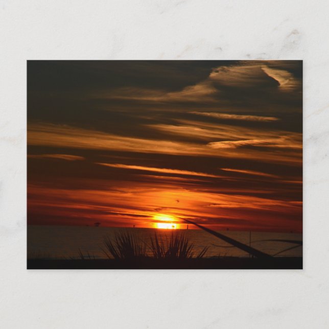 Bukt Shores Plantation Vykort (Framsida)