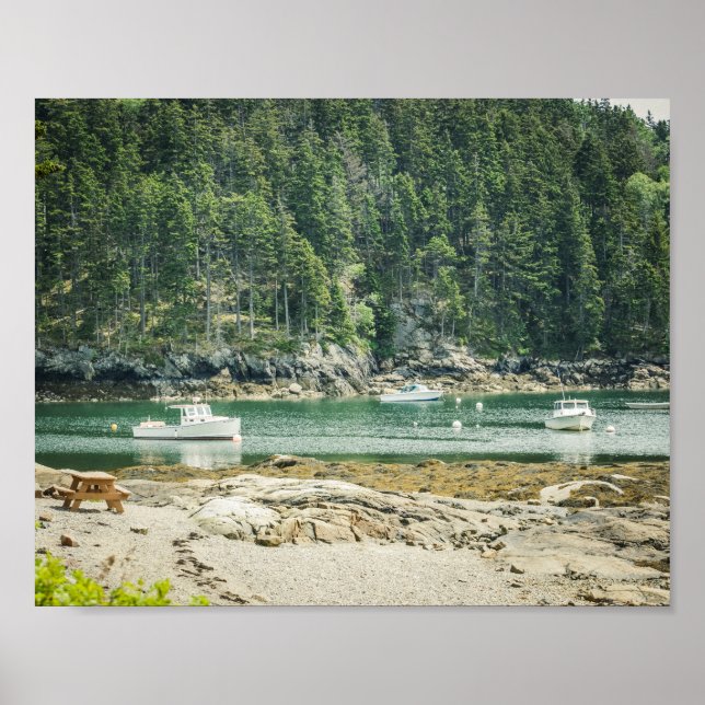 Bukt vid Maine kuststrand och båtar 8x10 Poster (Framsidan)