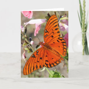BuktFritillaryfjäril Notecard Kort