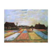 Bulb Fält Holland (F186) Van Gogh Fine Art