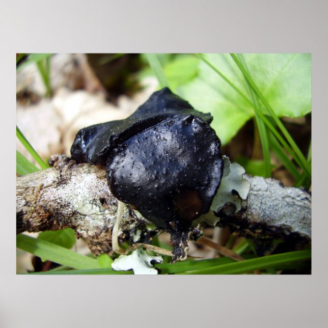 Bulgarien Poster (Framsidan)