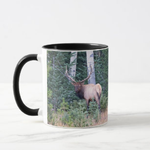 Bull älk i Colorado-bergen Mugg