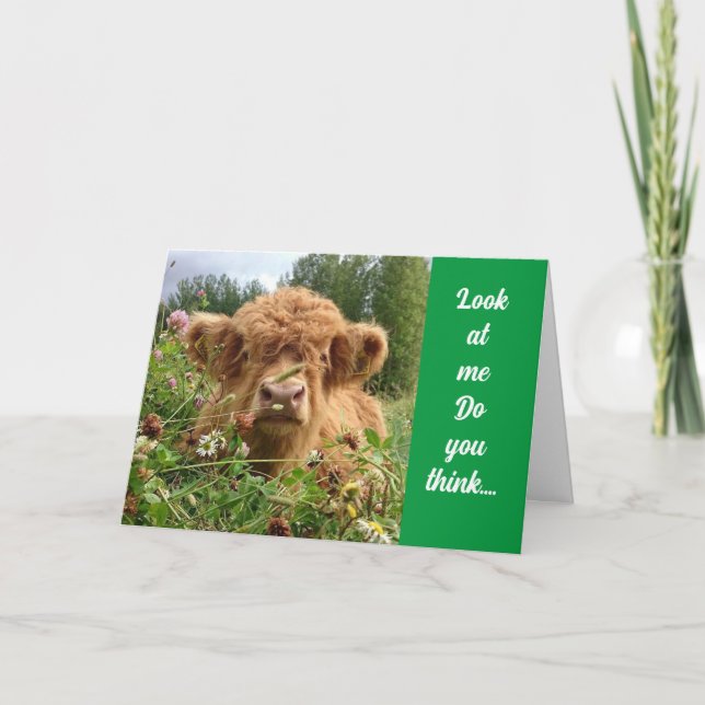 BULL ÄR ALLVARLIGT OCH SÄGER "LYCKLIG 60:E BIRTHDA KORT (Framsida)