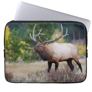 Bull & Aspen Träd Nationalpark i Rocky Mountain Laptop Fodral