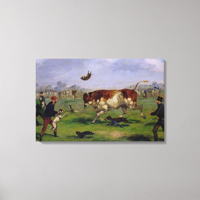 Bull Baiting (olja på papper sockel) Canvastryck (Framsida)