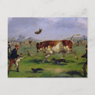 Bull Baiting (olja på papper sockel) Vykort