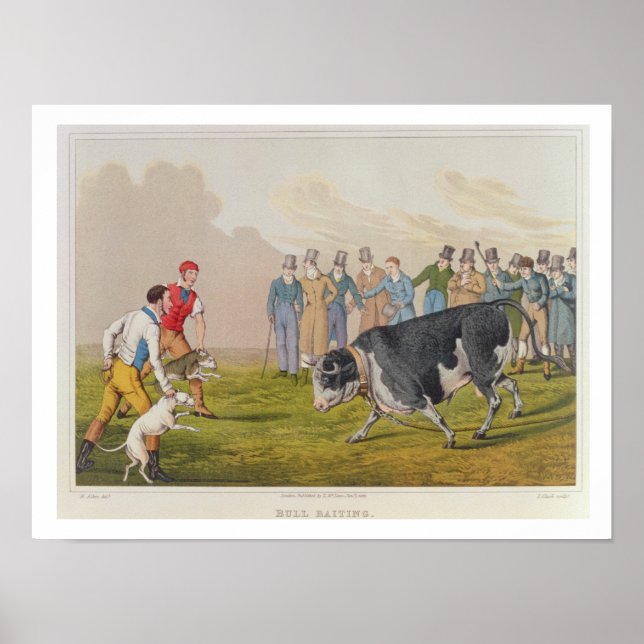 "Bull Baiting", pub.by Thomas McLean, 1820, (tryck Poster (Framsidan)