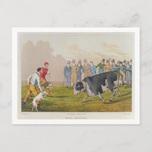 "Bull Baiting", pub.by Thomas McLean, 1820, (tryck Vykort