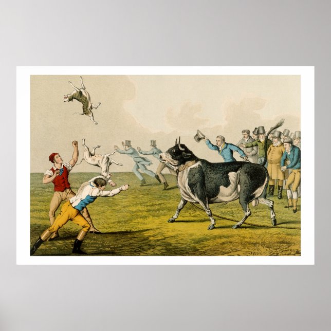"Bull Baiting", pub. från Thomas McLean, 1820, (pr Poster (Framsidan)