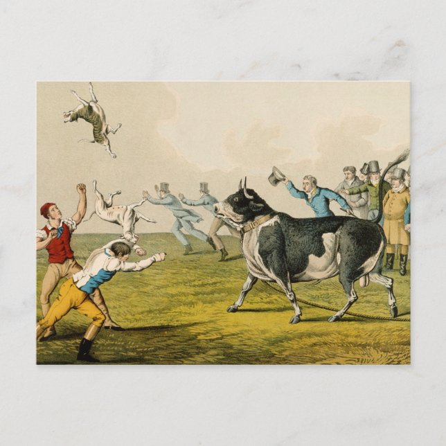 "Bull Baiting", pub. från Thomas McLean, 1820, (pr Vykort (Framsida)