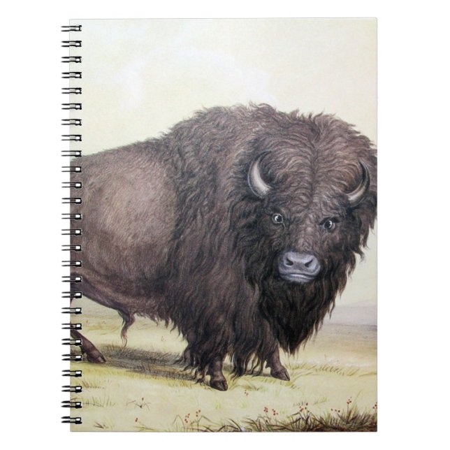 Bull Buffalo Anteckningsbok (Framsidan)