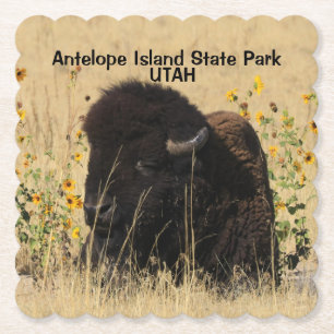 Bull Buffalo Antelope Island UTAH Papper Underlägg