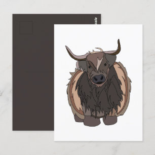 Bull Cattle Bull Vykort