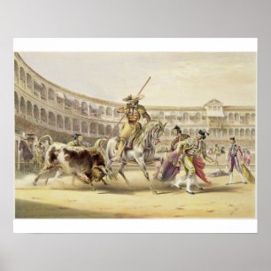Bull Charging a Picador, 1865 (färg litho) Poster