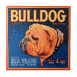 Bull Dog på en blå bakgrund Kakelplatta<br><div class="desc">En vintage låda-etikett som illustrerar en bulldog med en blå mönstrad bakgrund och en orange gräns. Välj den här teckningen på din Zazzle-produkt idag.</div>