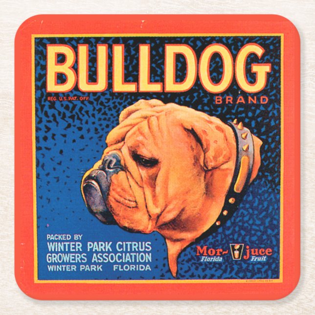 Bull Dog på en blå bakgrund Underlägg Papper Kvadrat (Framsidan)
